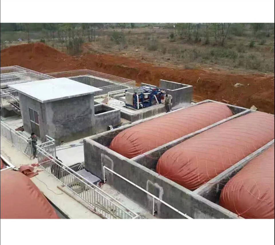 Biogas Project