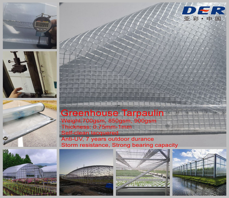 Super Clear PVC Tarpaulin Sheet, Clear Tarpaulin Cover, Transparent Tarp Cover , Waterproof Mesh Clear Tarpaulin