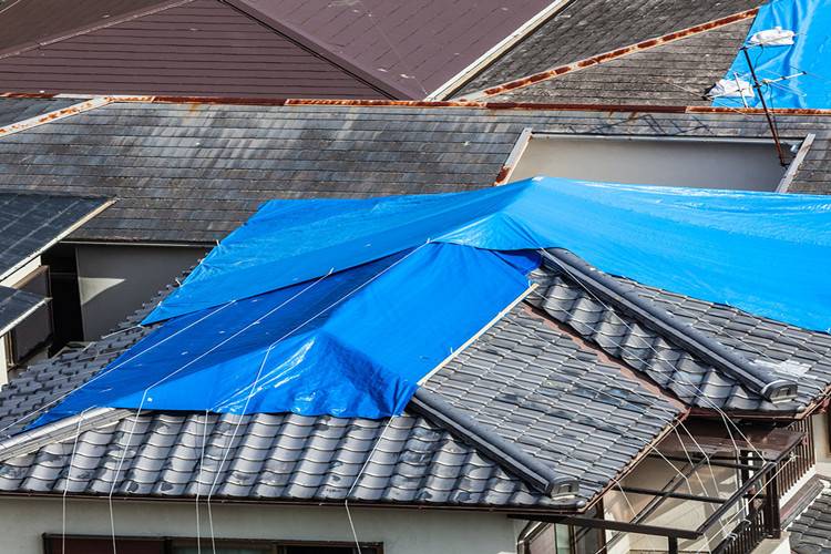Tarp Building, Fabric Structures, Fabric Buildings, flame-retardant PVC-vinyl fabric, Fabric Roof Builders Tarps, Tarp Storage Buildings, Vinyl Canopy Tents, tarp shelter